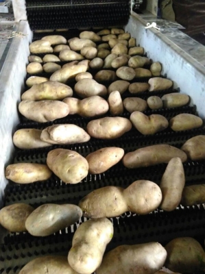 赤峰市土豆干洗廠地址電話號碼-第1張圖片