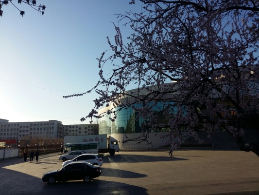 赤峰喀喇沁婚紗攝影店電話號(hào)碼-第1張圖片