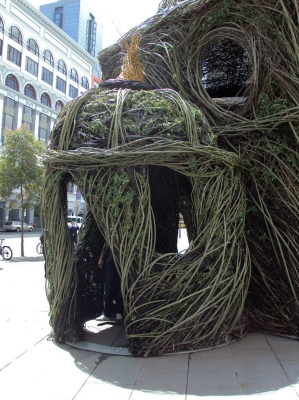 赤峰柳樹苗基地電話號(hào)碼查詢-第1張圖片