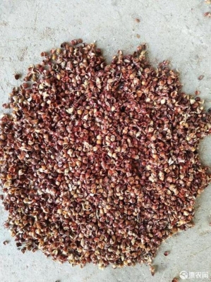 赤峰谷草顆粒加工廠電話號(hào)碼-第1張圖片