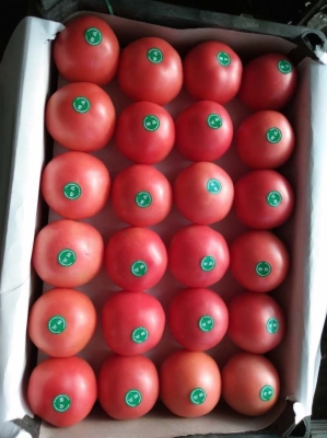 赤峰炕板批發(fā)廠家電話號碼-第1張圖片