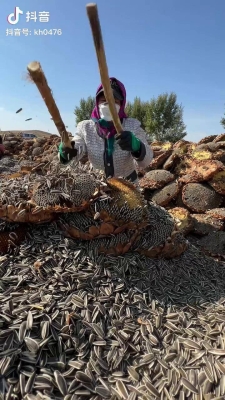 赤峰趙老漢瓜子店電話多少號(hào)-第1張圖片