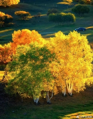 赤峰比茨商貿有限公司-第1張圖片