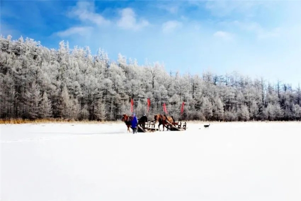 赤峰市蒼狼飯店電話地址查詢-第1張圖片