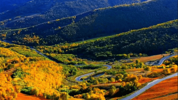 赤峰眾聯(lián)小罐茶莊電話地址查詢-第1張圖片