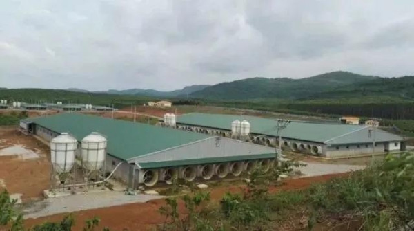 內(nèi)蒙古赤峰養(yǎng)豬場(chǎng)電話號(hào)碼-第1張圖片