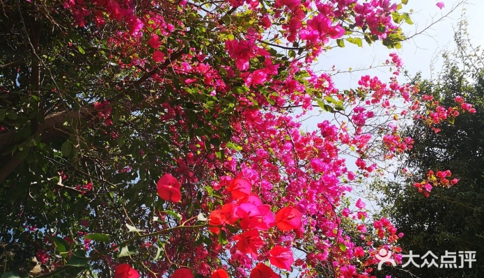 赤峰祝酒歌飯店電話號(hào)碼查詢-第1張圖片