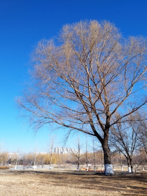 赤峰博雅泳樂匯團(tuán)購電話號碼-第1張圖片