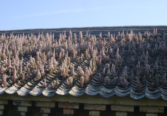 赤峰市上瓦房王爺府電話號碼-第1張圖片