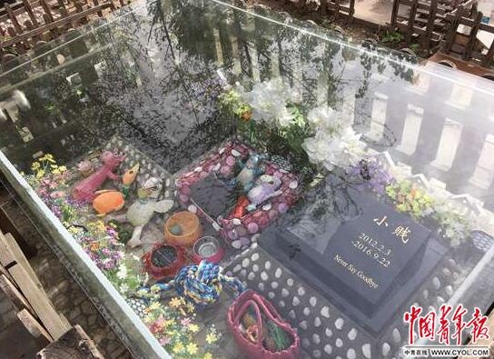 赤峰寵物墓地電話多少啊-第1張圖片