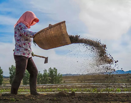 赤峰賣棒球棍電話號碼查詢地址-第1張圖片