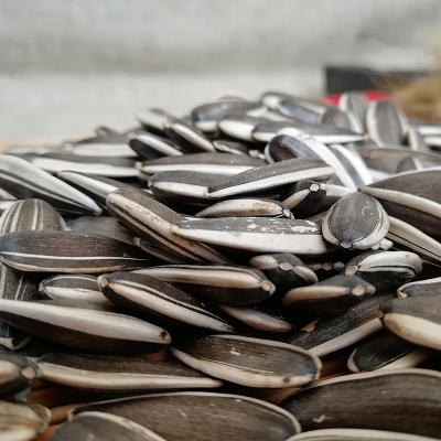 赤峰脫皮瓜子批發(fā)市場電話號碼-第1張圖片