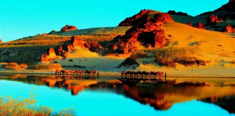 赤峰文旅集團(tuán)地址電話(huà)號(hào)碼查詢(xún)-第1張圖片