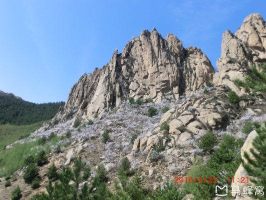 赤峰寧城捆草機廠家電話號碼-第1張圖片