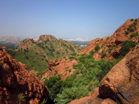 赤峰紅山區(qū)老廟社區(qū)電話號(hào)碼-第1張圖片