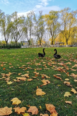 赤峰和諧家園-第1張圖片