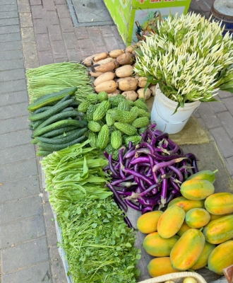 赤峰萌寵市場在哪里啊電話號碼-第1張圖片