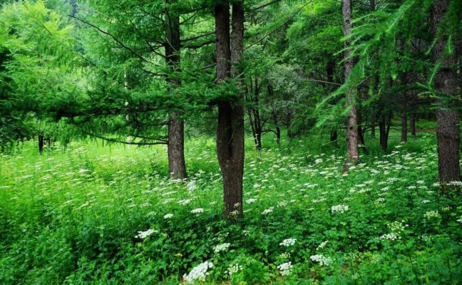 赤峰林源防水公司電話多少號-第1張圖片