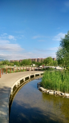 赤峰林西餃子館電話地址查詢-第1張圖片