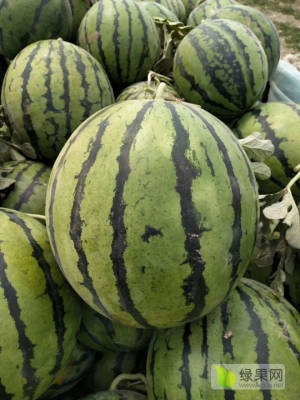 赤峰賣小西瓜的電話號碼是多少-第1張圖片