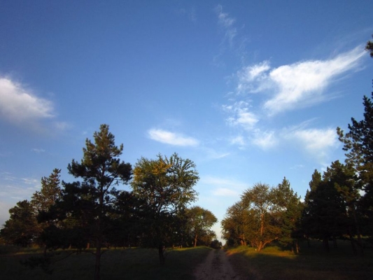 赤峰紅山區(qū)北溝社區(qū)電話號(hào)碼-第1張圖片