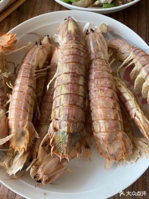 赤峰架子羊批發(fā)市場電話號碼-第1張圖片