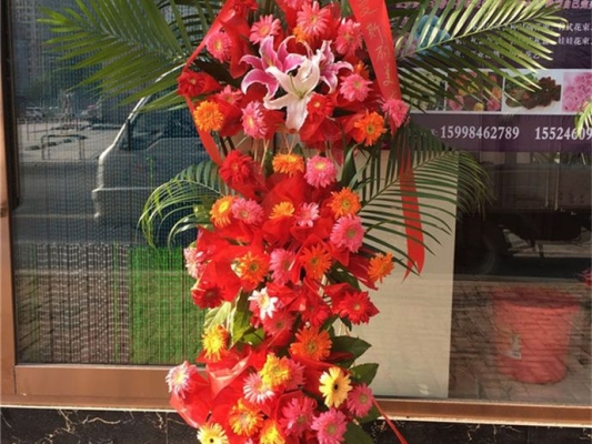 愛尚婚慶赤峰店電話號(hào)碼查詢-第1張圖片