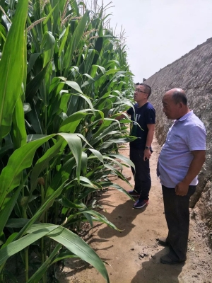 赤峰市松樹園社區(qū)電話號(hào)碼是多少-第1張圖片