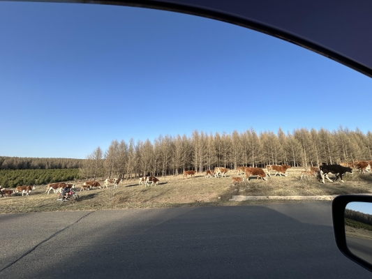 三河到赤峰大客車電話號(hào)碼-第1張圖片