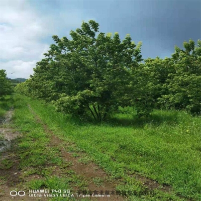 赤峰蘭香苑市政府電話號(hào)碼-第1張圖片