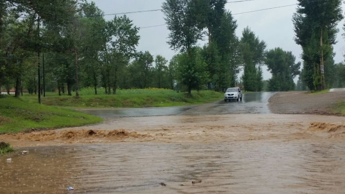 赤峰芝瑞鎮(zhèn)珍貴影像店電話號(hào)碼-第1張圖片