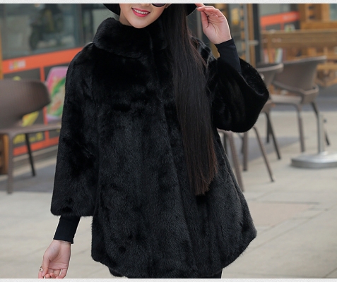 赤峰圣翔水貂店電話多少號(hào)-第1張圖片