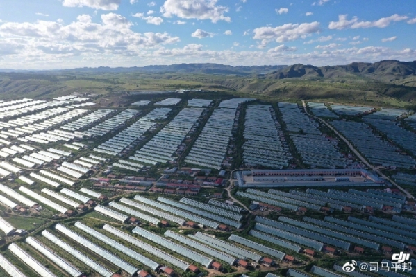 大廟鎮(zhèn)到赤峰市班車電話號碼-第1張圖片