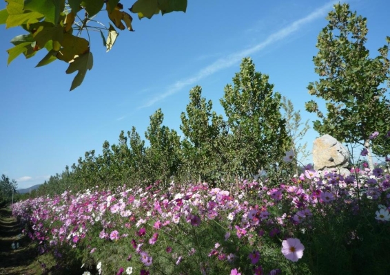 赤峰平莊長泰水務(wù)電話-第1張圖片