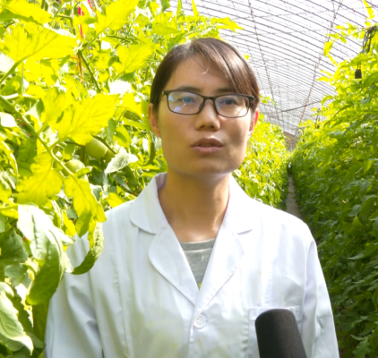 赤峰勞動(dòng)力鑒定中心電話號(hào)碼-第1張圖片