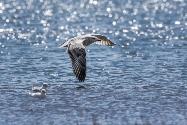 赤峰悠貝游泳館電話號碼-第1張圖片