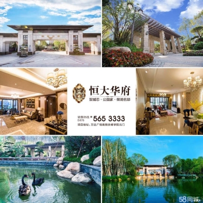 赤峰新城巴迪寵物店電話號碼-第1張圖片