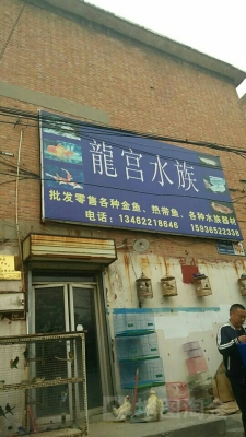 赤峰龍宮飯店電話號(hào)碼多少號(hào)啊-第1張圖片