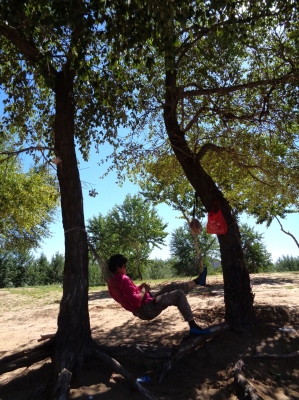 赤峰橋北釣場電話號碼多少號-第1張圖片