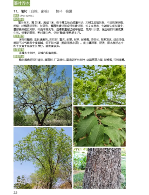 赤峰大樹家具廠電話號碼多少-第1張圖片