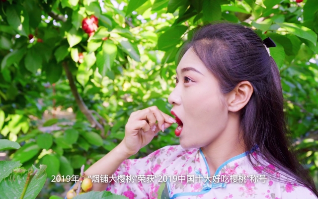 赤峰煙冠大櫻桃基地電話號(hào)碼-第1張圖片