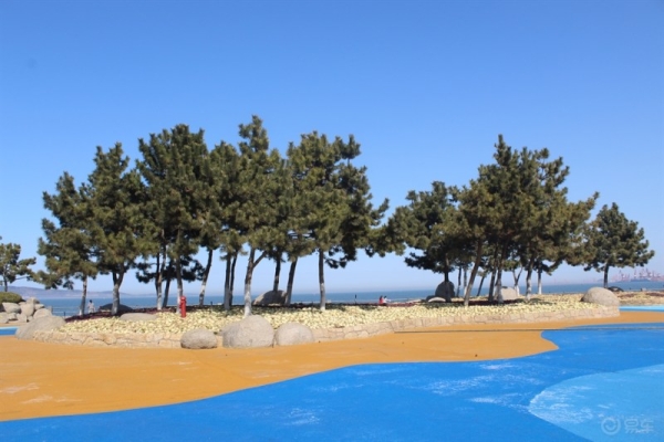 赤峰市悅海社區(qū)簡(jiǎn)介電話號(hào)碼-第1張圖片