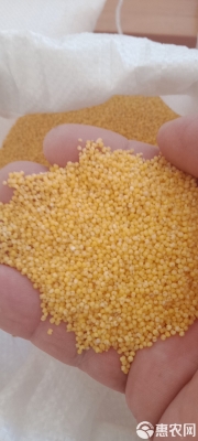 赤峰萬(wàn)達(dá)小米 電話(huà)號(hào)碼查詢(xún)-第1張圖片