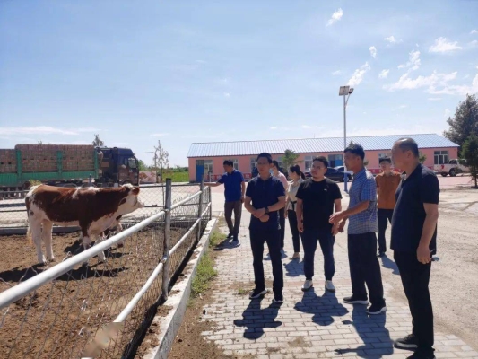 赤峰重鋼結(jié)構(gòu)施工隊(duì)電話號(hào)碼-第1張圖片