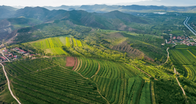 赤峰林西轟趴館電話地址查詢-第1張圖片