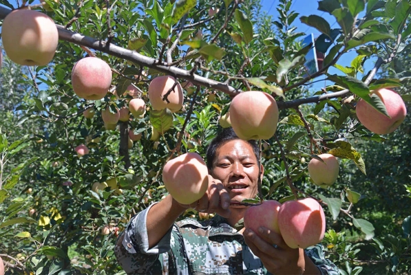 赤峰崗臺(tái)村小米店電話多少號(hào)-第1張圖片