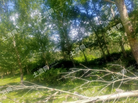 赤峰林地租賃公司電話地址查詢-第1張圖片