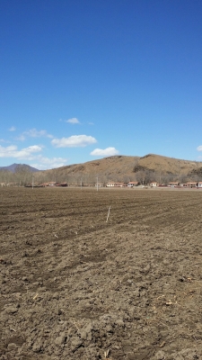 赤峰收購煤氣罐電話號碼是多少-第1張圖片