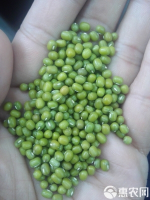 赤峰豆媽愛(ài)生活電話號(hào)碼查詢-第1張圖片