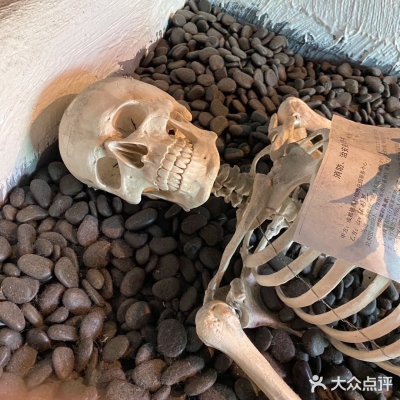 赤峰探店紋身店電話(huà)號(hào)碼查詢(xún)-第1張圖片